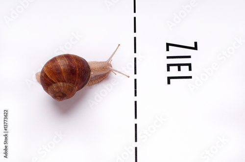 400_F_13773622_a8wczQGfNi3Gt0EkFW255Yd2Y
