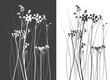 real grass silhouette - vector - two colors