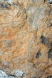 Braungraue Steinplatte II