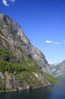 Fiordi
