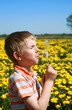 Little boy is blowing dandelion.