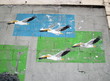 Vols de pélicans sur béton gris. Graffitis Urbain.