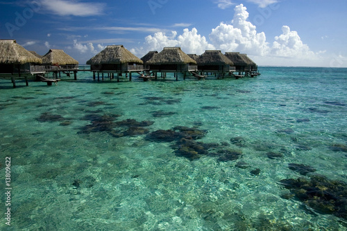 Photo: transparent waters of lagoon in french polynesia transparent waters of lagoon in french polynesia