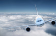 Airplane in the sky