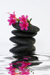 equilibrio