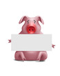 Swine flu-5