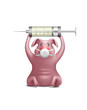 Swine flu-3