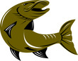 Pike fish