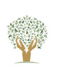 A fényképek részletei Tree of Life