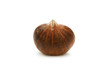 One chestnut isolated on the white background