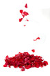 Red rose petals