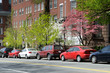 Beacon Hill in the Spring Beacon Hill in the Spring