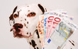 Foto: Teures Hobby Teures Hobby