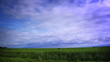 Loopable timelapse