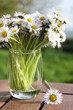 bouquet de marguerites