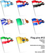 Flag pins #12 Flag pins #12