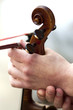 violon