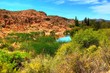 Desert Pond