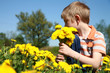 Boy and bunch of dandelions.