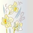Yellow narcissus Yellow narcissus