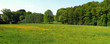 Sommerwiese