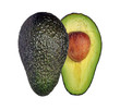 Avocado Persea Americana Avocado Persea Americana
