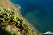 Katamaran vor Steilküste von Madeira