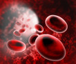 blood cells