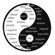Dualité yin-yang