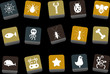 Animals Icon Set