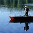 Auf der Jagd