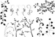 collection for designers, plant vector collection for designers, plant vector