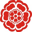 English Rose Red