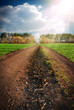 landscape with country road and cloudy sky