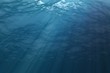水中からみた水面