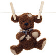 Peluche suspendue sur une corde à linge