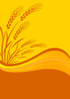 background with cereal crop