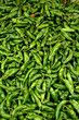 Photo en ligne au meilleur prix piment vert