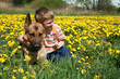 Boy, dog and yellow meadow.