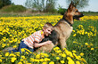 Boy, dog and yellow meadow.