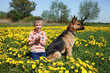 Boy, dog and yellow meadow.