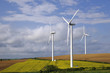 Photo: wind farm wind farm