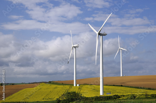 Photo: wind farm wind farm