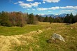 Alp