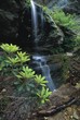 Window Falls in North Carolina