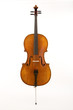 Cello on White