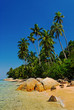 tropischer Strand