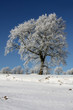 Winterlandschaft
