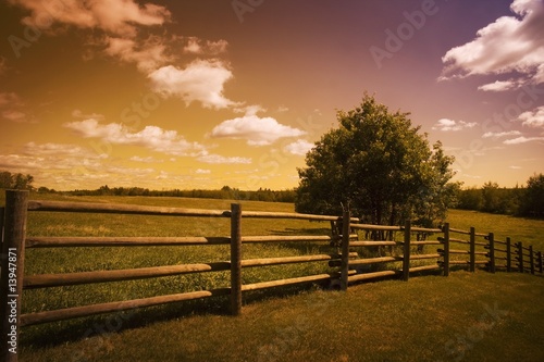 Photo: Field Field