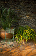 terrasse terrasse